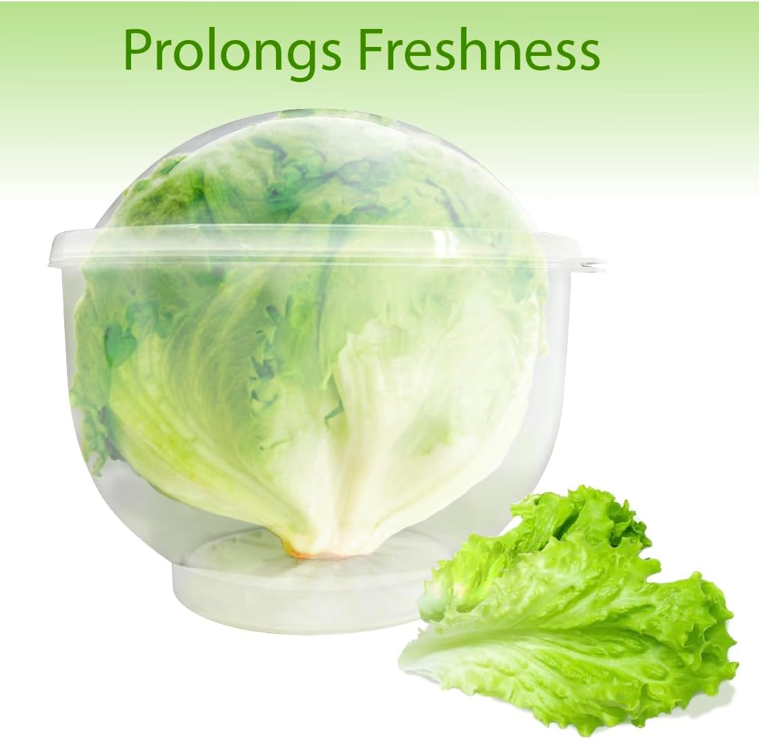 Trenton Gifts Lettuce And Vegatable Storage Keeper | 7" X 8"