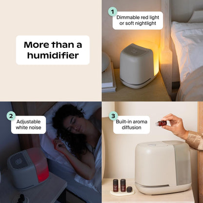 Canopy Bedside Humidifier 2.0, Moonstruck, 2.5L, 36 Hr, Reading Light & Sound