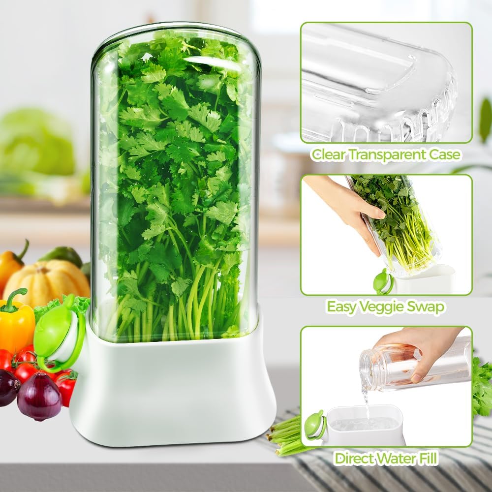 Herb Keeper for Refrigerator – Lettuce & Cilantro Container, Fresh Vegetable Saver Pod, Storage Bottle & Fresh-Keeping Box for Spinach, Asparagus, Celery, Mint (White)