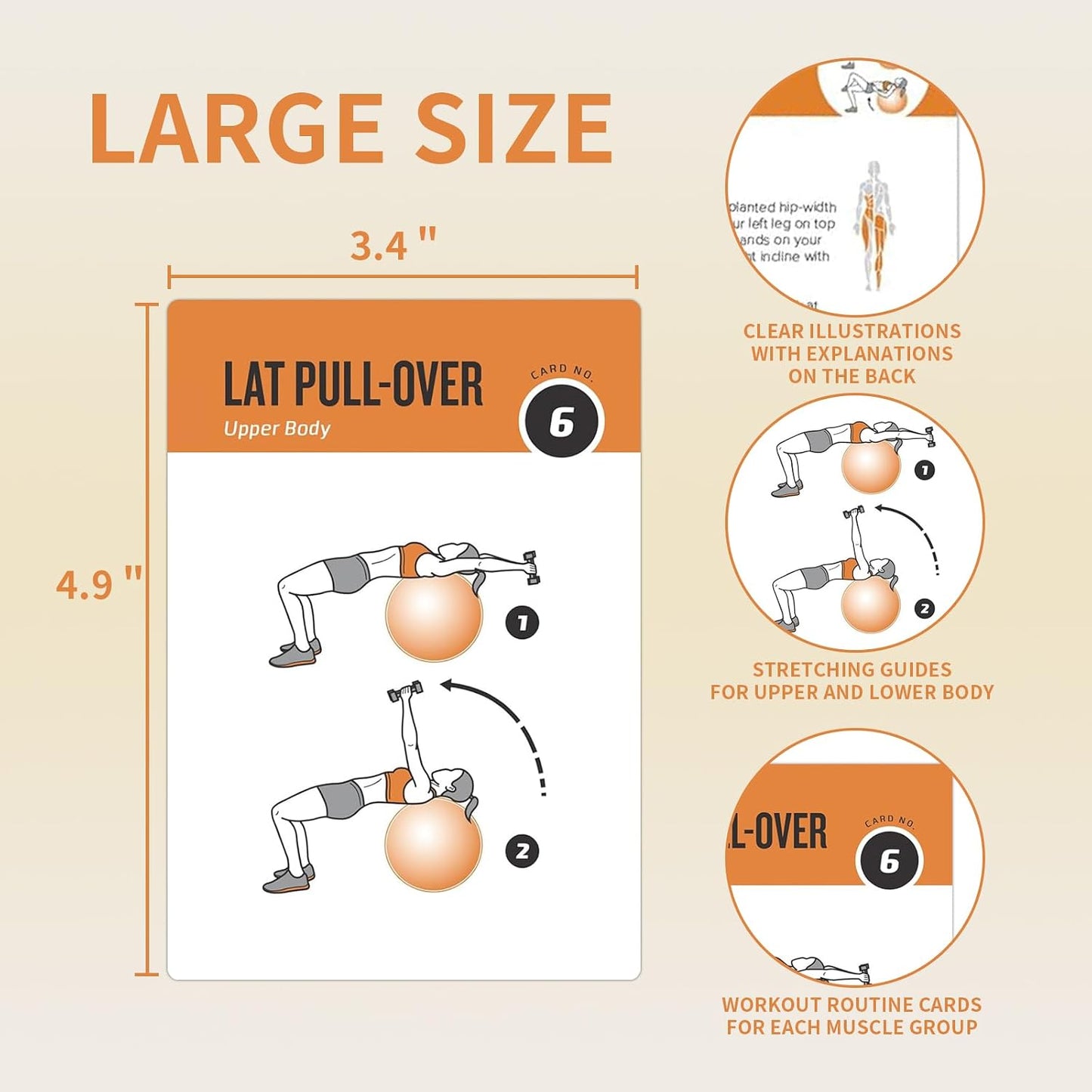 Half Balance Ball Workout Cards, 62 Exercises Cards Deck Large Size 5" x 3.5" Fitness Cards for Women & Men, Beginner Fitness Guide to Training Exercises at Home or Gym