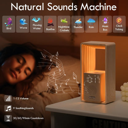 WILIT Digital Alarm Clock, Sunrise Alarm Clock with Nightlight, 9 Sleep Aid Sounds, White Noise Sounds Machine, Dimmable Display, Snooze,USB Charging Port,Gift for Women,Men,Teens,Kids,Travel