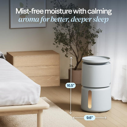 BLUEAIR 3.8L Top-Fill Humidifiers for Bedroom, 1 Gal, DreamWell H38i Grey