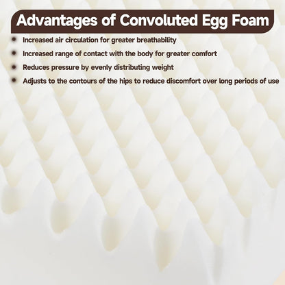 HOMBYS Egg Shaped Foam Recliner Chair Cushion for Elderly, 20×20×5inch Thicken & Extra Large Seat Cushion Cahir Pad for Couch, Armchair, Wheelchair for Easy to Reduce Hip & Lumbar Pain, Black