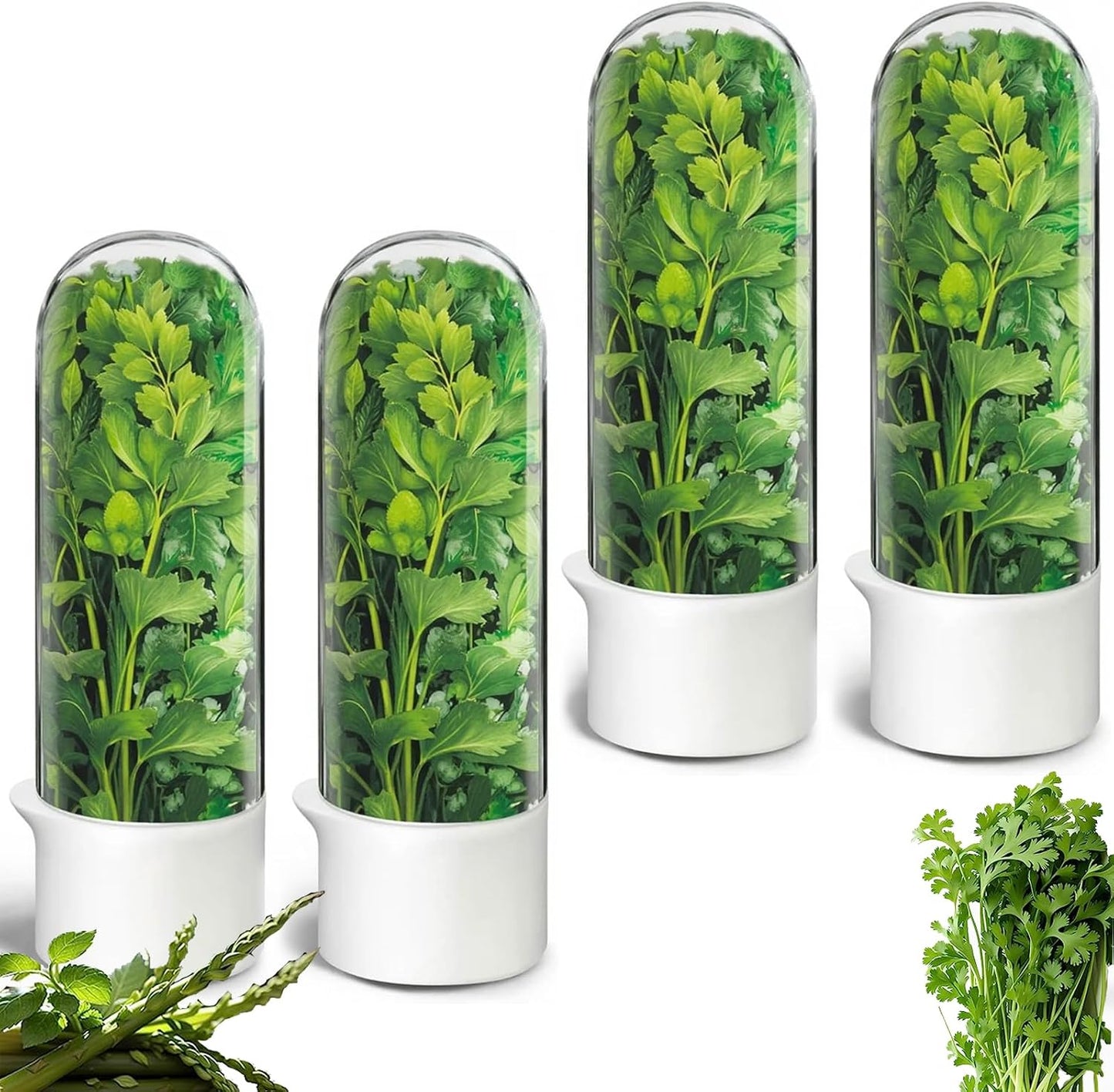 Herb Saver for Refrigerator, Herb Saver Pod Cilantro Containers for Refrigerator, Fresh Herb Keeper for Cilantro, Parsley, Asparagus, Mint, Keeps Greens Vegetables for 2-3 Weeks (Herb Keeper 2Pack)