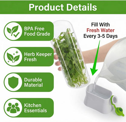 2 Pack Herb Saver for Refrigerator, Fresh Herb Keeper Preserver | Fresh Herbs Cilantro Container for Fridge, Parsley, Thyme, Mint, Asparagus, Easy to Use