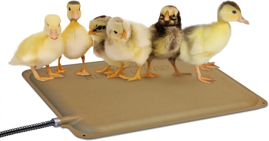 K&H Heating Pad, Thermo-Peep Chicken Heating Pad for Brooders Safety Listed | For Brooders and Chicken Coops, Warming Heat Plate for Chicks and Ducklings, Poultry Heat Lamp Alternative, 12x9in, 25W, Tan