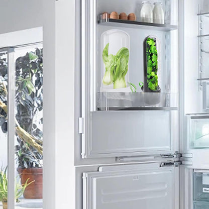 Yosoo Health Gear Herbs Saver Herbs Keeper for Refrigerator Cilantro Container, Multipurpose Keep Freshness Transparent Design Pressure Resistants Herbs Keeper for Coriander Asparagus Vegetable