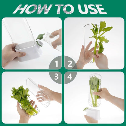 Herb Storage containers for Refrigerator.Herb Saver for Refrigerator, Fresh Herb Keeper for Cilantro,Parsley, Asparagus, Mint, Keeps Vegetables for 2-3 Weeks