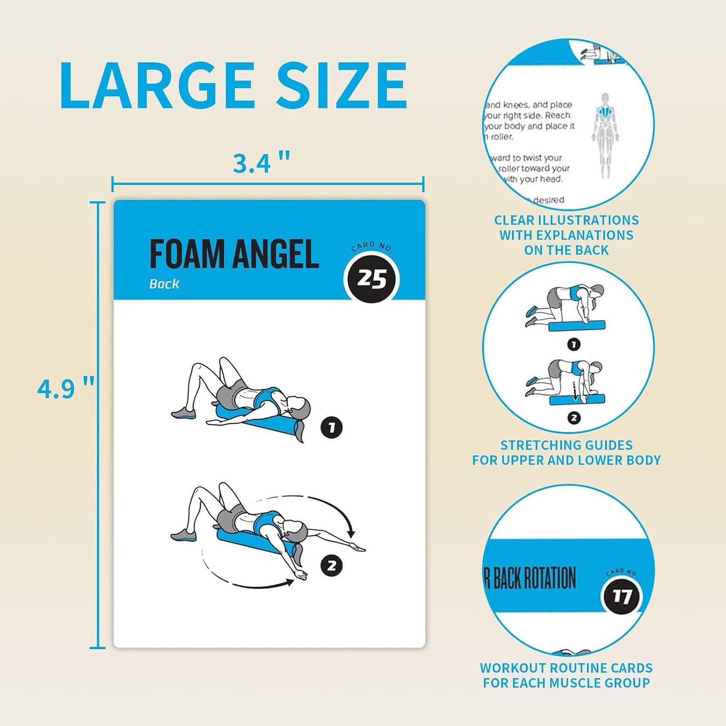 Half Balance Ball Workout Cards, 62 Exercises Cards Deck Large Size 5" x 3.5" Fitness Cards for Women & Men, Beginner Fitness Guide to Training Exercises at Home or Gym