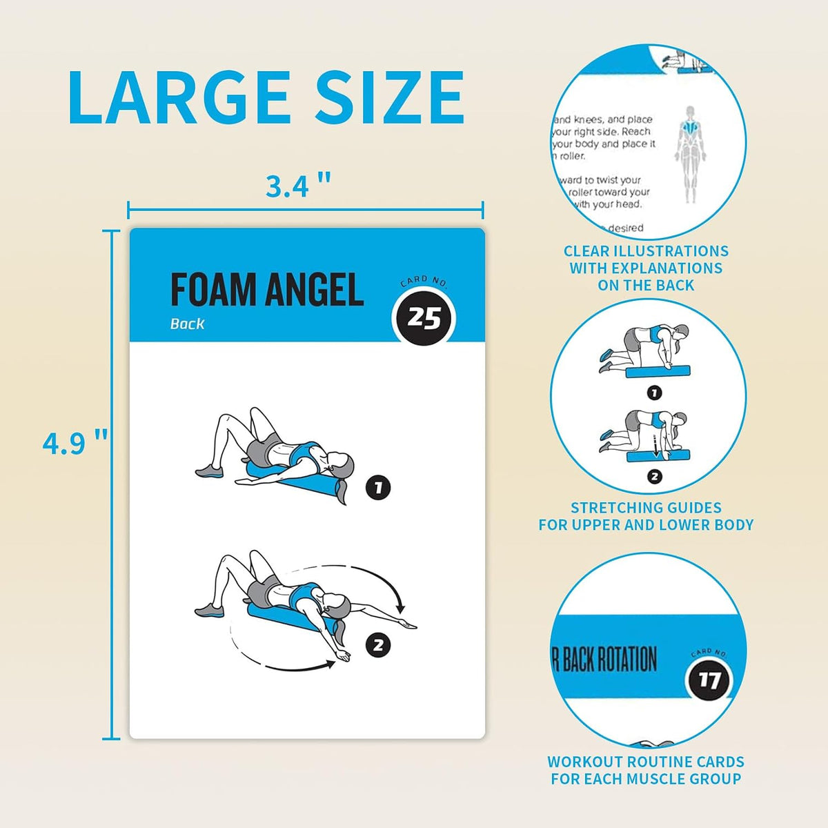 Half Balance Ball Workout Cards, 62 Exercises Cards Deck Large Size 5" x 3.5" Fitness Cards for Women & Men, Beginner Fitness Guide to Training Exercises at Home or Gym