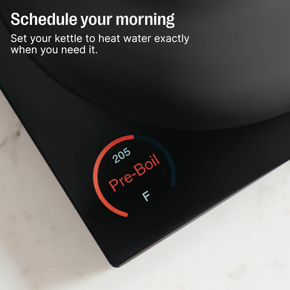 Fellow Corvo EKG Pro Electric Kettle for Tea & Coffee, 0.9 Liter | Precision Temp Control, Stainless Steel, Brew Timer, Smart Scheduling, Wide Spout, Quick Heating, Matte White, Maple Handle