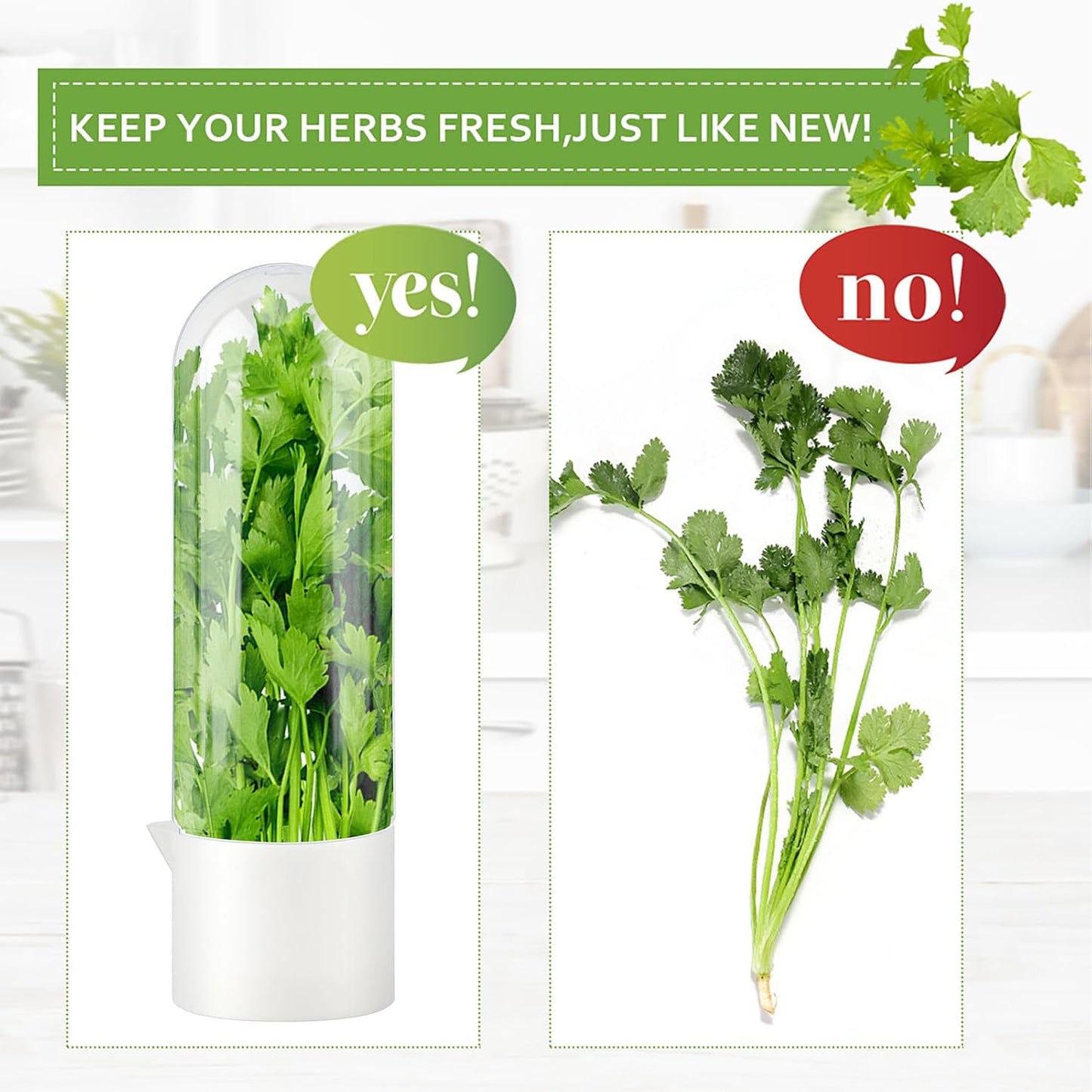 2 Pack Herb Keeper for Refrigerator, Vertical Herb Keeper for Fridge with Scissors, Vegetable Preservation Container for Cilantro, Parsley, Mint&Asparagus, Extends Freshness for 2-3 Weeks