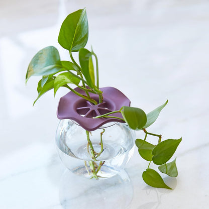 Modern Sprout Eco-Friendly Produce Keeper for Fresh Herbs & Greens - 2 Pack | BPA-Free, Sustainable Materials - Extends Freshness Up to 2 Weeks - Gift for Plant Lovers and Home Chefs