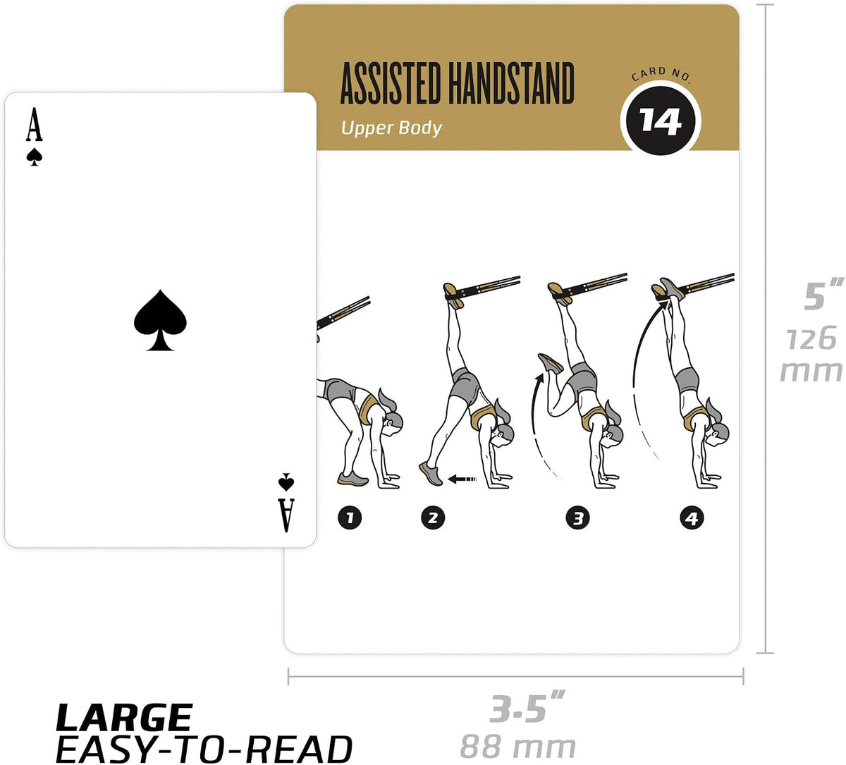 NewMe Fitness Pilates Workout Cards, Fitness Deck for Women and Men