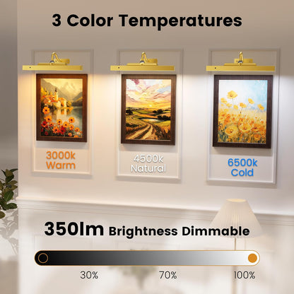 Picture Light for Wall, 12" Rechargeable Wireless Battery Operated Painting Lighting, Dimmable LED with Remote 3CCT for Wall Art Gallery Display (Black)