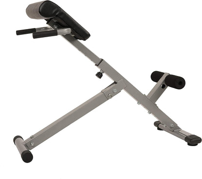 Sunny Health & Fitness Multi-Function Roman Chair | Adjustable Height, Folds Flat for Storage, Built in Dip Station, Targets Back, Abs & Core, Crunches & Back Extensions