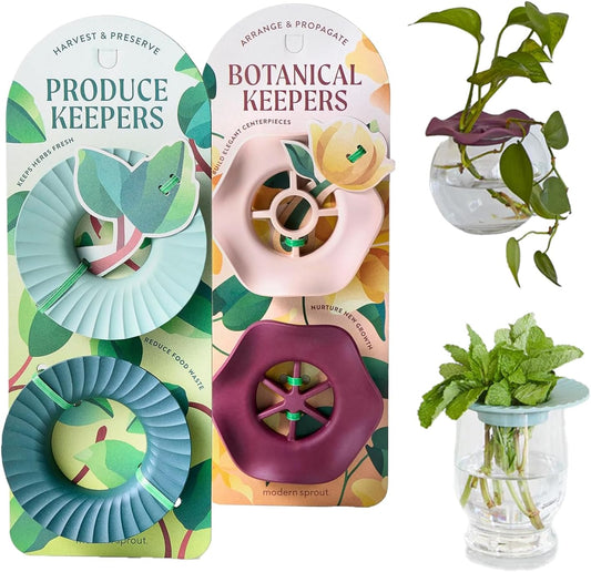 Modern Sprout Eco-Friendly Produce Keeper for Fresh Herbs & Greens - 2 Pack | BPA-Free, Sustainable Materials - Extends Freshness Up to 2 Weeks - Gift for Plant Lovers and Home Chefs