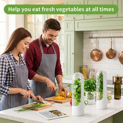 2Pcs Cilantro Container for Fridge, Transparent Herbs Saver fits Fridge Asparagus Parsley Mint Leaves, Keeps Greens Vegetables for 2-3 Weeks