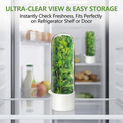 Herb Saver, Herb Keeper for Refrigerator, Cilantro Container for Fridge, Hard Shell Fresh Herb Storage for Asparagus, Parsley, Mint, Rosemary, Keeps Greens Fresh for 2-3 Weeks (3PCS)