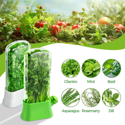 Herb Keeper for Refrigerator – Lettuce & Cilantro Container, Fresh Vegetable Saver Pod, Storage Bottle & Fresh-Keeping Box for Spinach, Asparagus, Celery, Mint (White)