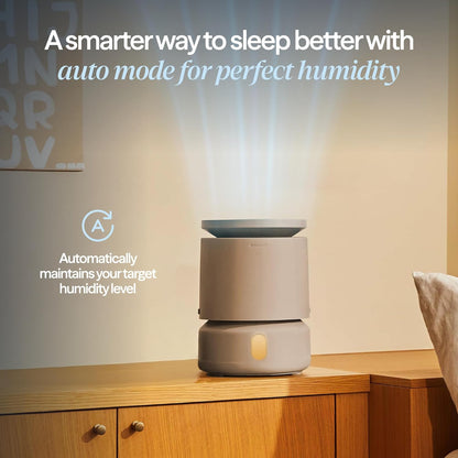 BLUEAIR Room Humidifier - DreamWell - 48Hr Top-Fill Mist-Free InvisibleMist Technology Aroma Stone for Essential Oils and Soothing Mood Lighting - Quiet Operation for Bedroom and Home Use, Grey