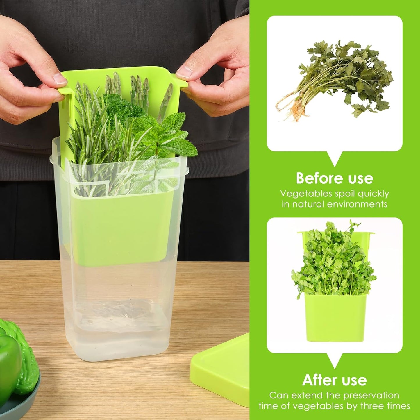 Fresh Herb Keeper for Refrigerator, 5.1x4.1x 9.06 in Clear Herb Saver, Fridge Asparagus Container, Fresh Herb Saver, Herb Storage Containers, for Cilantro, Parsley, Thyme, Asparagus(Green)