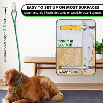 Heavy Duty Stainless Steel Dog Leash Wall Hook,Ultra-Secure Tie Out Anchor for Yard&Home,Anti-Escape Dog Chain Parking Hook,Rust-Proof&Easy to Install