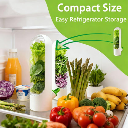 3 Pack Herb Saver for Fridge Cilantro Basil Storage Container | Fresh Herb Keeper with Removable Silicone Drain Plug，Vegetable Preservation Mint Extend Freshness Up to 2-3 Weeks