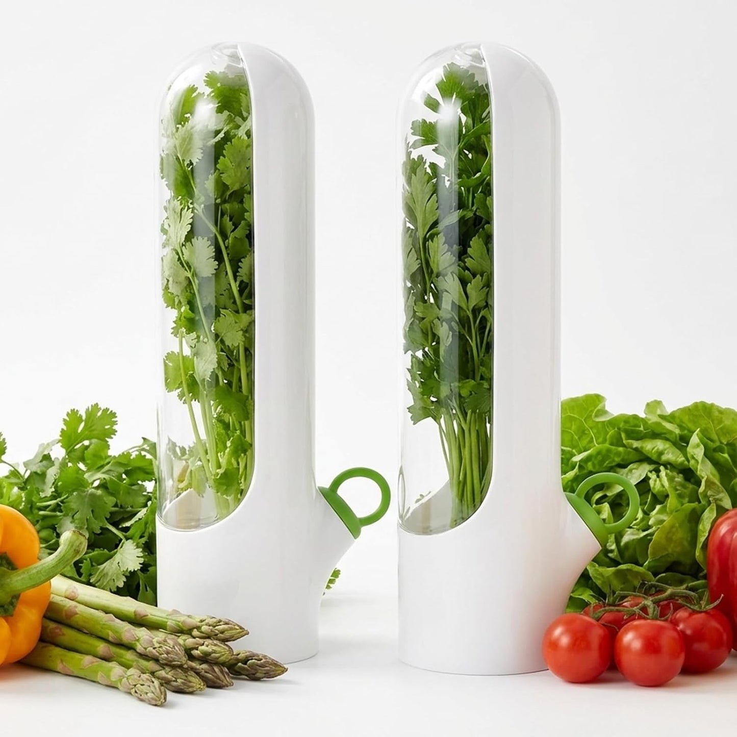2Pcs Cilantro Container for Fridge, Transparent Herbs Saver fits Fridge Asparagus Parsley Mint Leaves, Keeps Greens Vegetables for 2-3 Weeks
