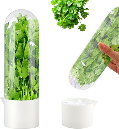 Herb Keeper for Refrigerator, Cilantro Container for Fridge, 3 Pack | Herb saver for refrigerator with upright stem storage for cilantro, parsley, basil, mint, and fresh herbs
