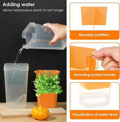 Fresh Herb Keeper for Refrigerator, 5.1x4.1x 9.06 in Clear Herb Saver, Fridge Asparagus Container, Fresh Herb Saver, Herb Storage Containers, for Cilantro, Parsley, Thyme, Asparagus(Green)