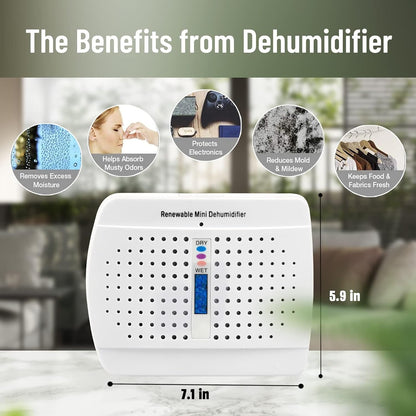 Small Dehumidifier, Moisture Absorber for Closed Spaces, Cabinet, Closet and Bathroom, Renewable Mini Dehumidifiers for Gun Safe, Rust Prevention