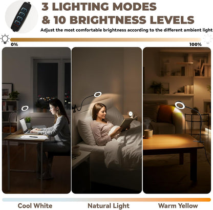 LALISU Desk lamp Eye-Caring Table Lamps, 360°Rotation Gooseneck Clip Lamp