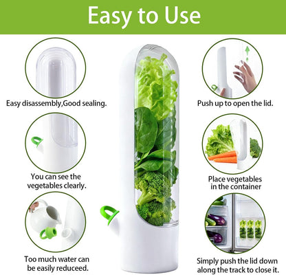 3 Pack Herb Saver for Fridge Cilantro Basil Storage Container | Fresh Herb Keeper with Removable Silicone Drain Plug，Vegetable Preservation Mint Extend Freshness Up to 2-3 Weeks