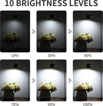 Desk Lamp USB Clip On Light,Book Lights for Reading at Night Clamp Light
