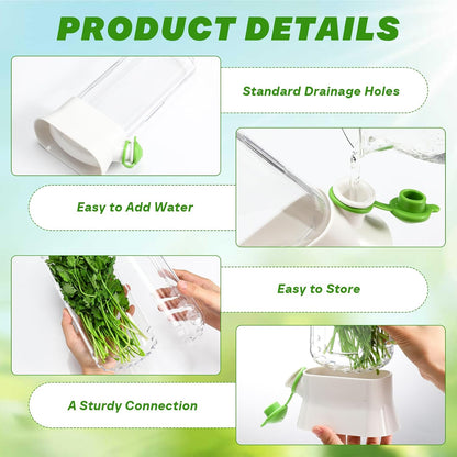 2 Pieces Herb Saver for Refrigerator Fresh Herb Keeper Cilantro Container for Fridge Saver Pod for Cilantro, Parsley, Asparagus, Keeps Vegetables for 2-3 Weeks(White)