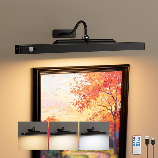 Motion Sensor Wireless Picture Light for Wall Art, 16 Inch, Black