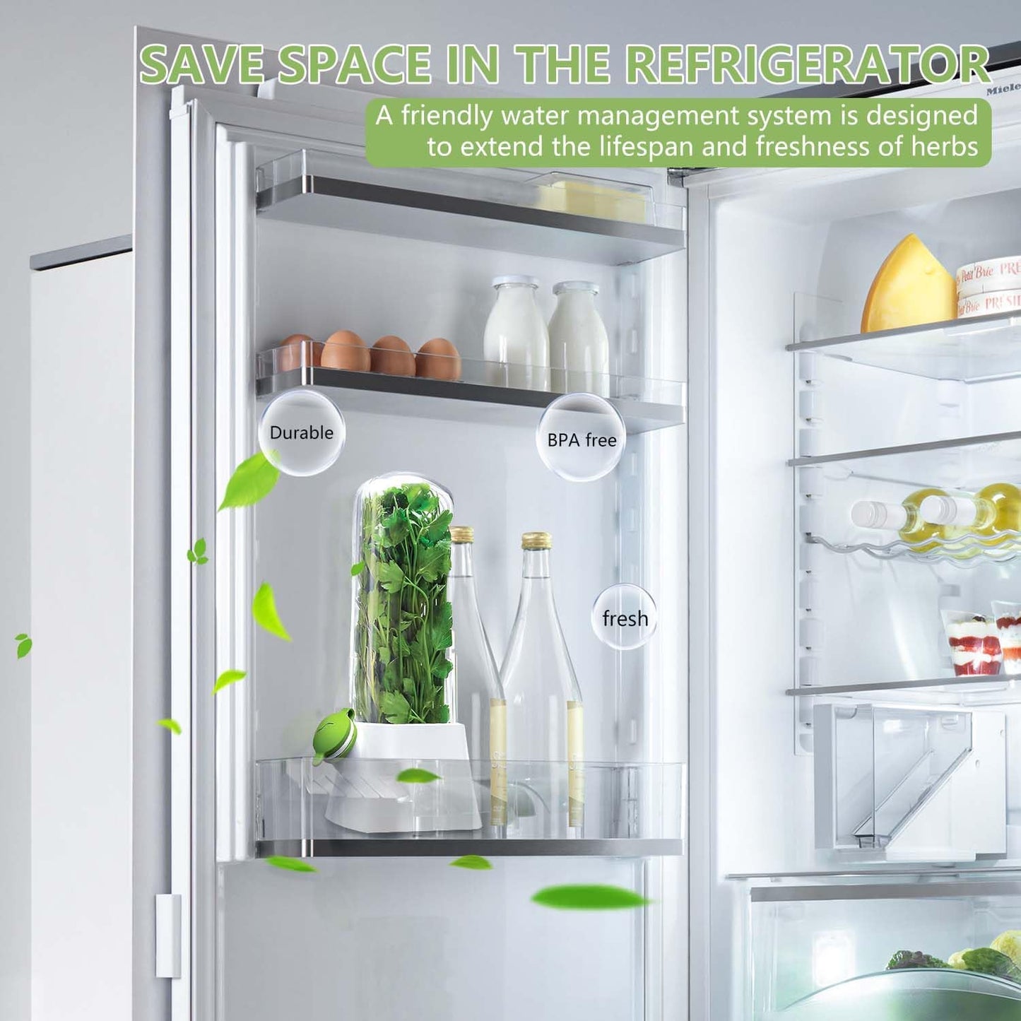 Herb Keeper for Refrigerator - Premium Herb Saver, Keep Cilantro Fresh, Versatile Herb Keeper for Prolonging Freshness of All Herbs