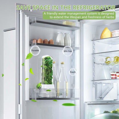 Herb Keeper for Refrigerator - Premium Herb Saver, Keep Cilantro Fresh, Versatile Herb Keeper for Prolonging Freshness of All Herbs