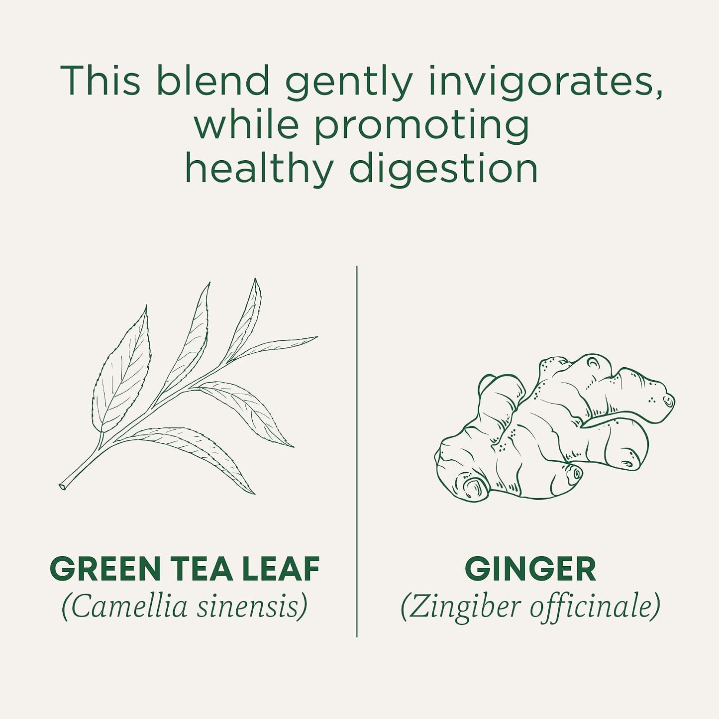 Traditional Medicinals Organic, Hibiscus Tea - Supports Normal Heart Health & Cardiovascular Wellness - Kosher, Non-GMO, Caffeine-Free, Compostable - 16 Tea Bags