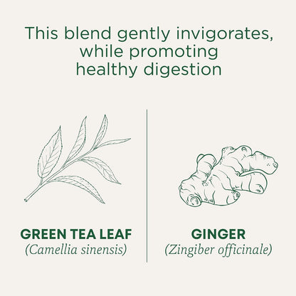 Traditional Medicinals Organic, Hibiscus Tea - Supports Normal Heart Health & Cardiovascular Wellness - Kosher, Non-GMO, Caffeine-Free, Compostable - 16 Tea Bags