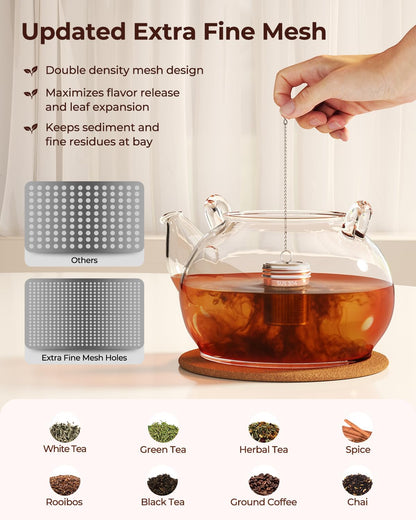 2 Pack Reinmoson 304 Stainless Steel Tea Infuser for Loose Leaf Tea