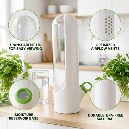 2Pcs Cilantro Container for Fridge, Transparent Herbs Saver fits Fridge Asparagus Parsley Mint Leaves, Keeps Greens Vegetables for 2-3 Weeks