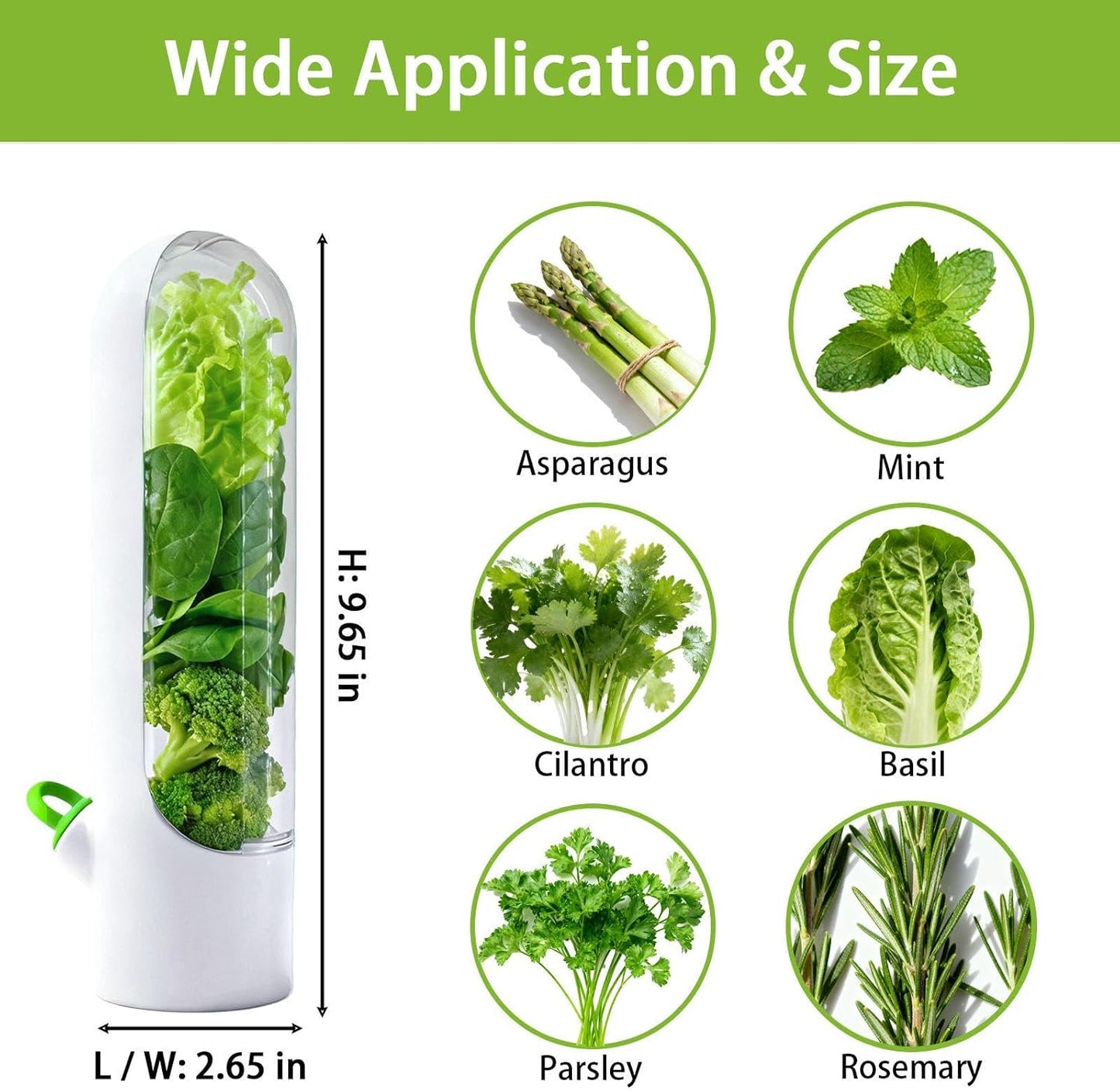 3 Pack Herb Saver for Fridge Cilantro Basil Storage Container | Fresh Herb Keeper with Removable Silicone Drain Plug，Vegetable Preservation Mint Extend Freshness Up to 2-3 Weeks