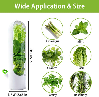 3 Pack Herb Saver for Fridge Cilantro Basil Storage Container | Fresh Herb Keeper with Removable Silicone Drain Plug，Vegetable Preservation Mint Extend Freshness Up to 2-3 Weeks