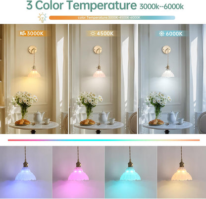 Shenmoyl Battery Operated Wall Sconce Wall Lamp with Green Lily of the Valley Shade Pattern Glass Adjustable Chain Retro Gold Wall Mounted Light, Modern Wall Lamp Fixtures Decor for Bedside Bedroom