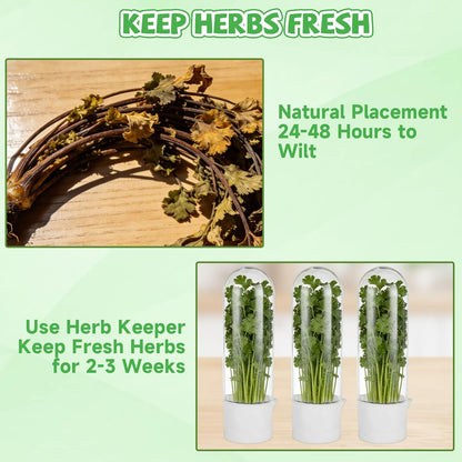 4 PCS Fresh Herb Keeper for Refrigerator, Herb Saver for Refrigerator, Cilantro Containers for Fridge, Herb Storage Containers for Cilantro Asparagus Mint Rosemary Parsley Basil for 2-3 Weeks