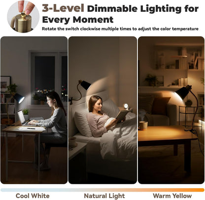 LALISU Desk lamp Eye-Caring Table Lamps, 360°Rotation Gooseneck Clip Lamp