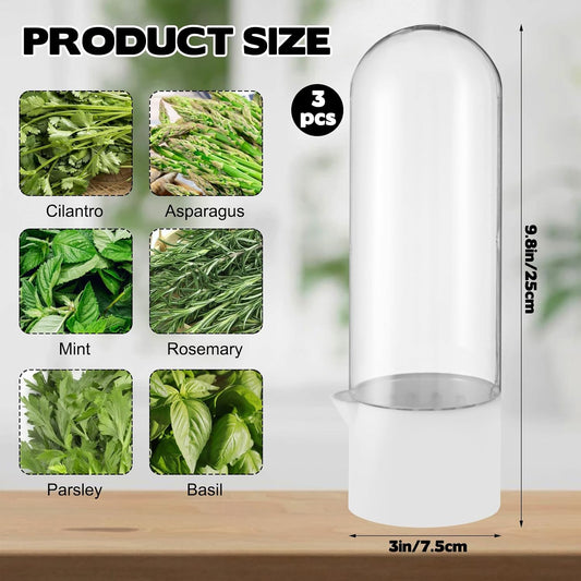 3 Pack Herb Saver for Refrigerator Large Fresh Herb Keeper Cilantro Container for Refrigerator Vegetable Preservation Container for Cilantro Asparagus Mint Rosemary Parsley Basil for 2-3 Weeks