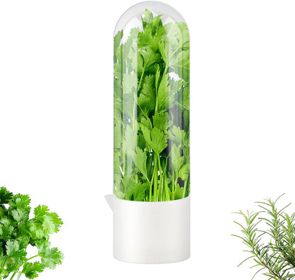 Fresh Herb Saver Cilantro Storage Containers for Refrigerator, Transparent Herbs Saver fits Fridge Asparagus Parsley Mint Leaves, Keeps Greens Vegetables for 2-3 Weeks(SIZE:2 pcs)